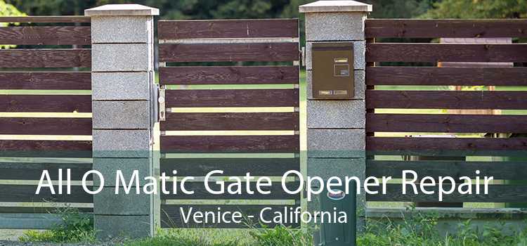 All O Matic Gate Opener Repair Venice - California