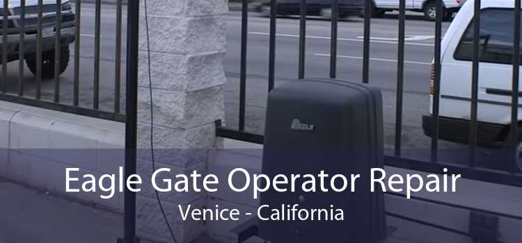 Eagle Gate Operator Repair Venice - California