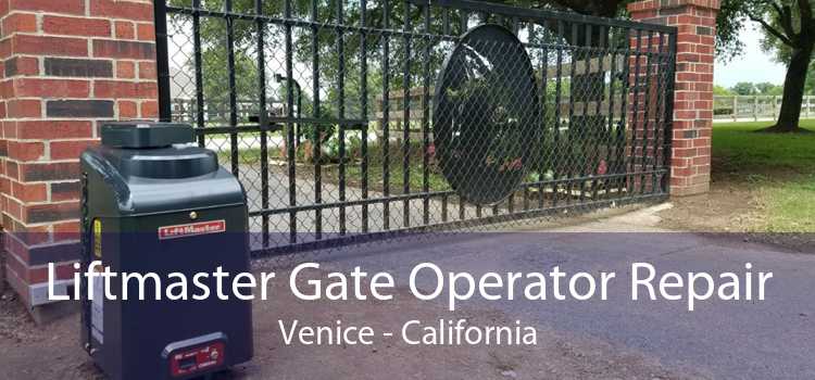 Liftmaster Gate Operator Repair Venice - California
